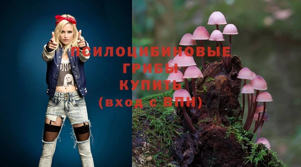 марки lsd Алексеевка